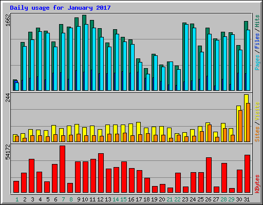 Daily usage for January 2017