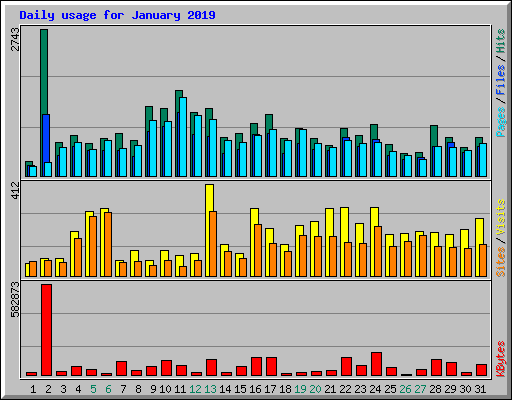 Daily usage for January 2019