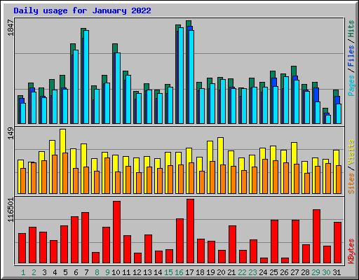 Daily usage for January 2022