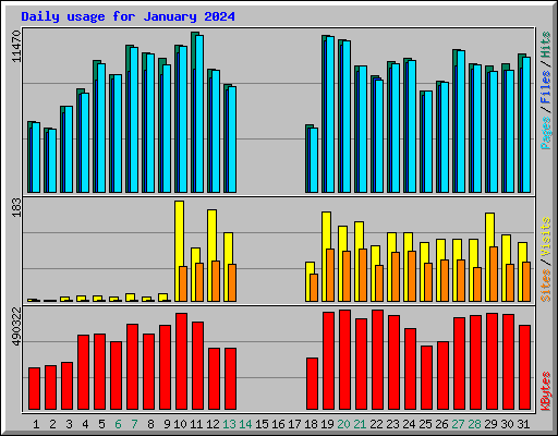 Daily usage for January 2024
