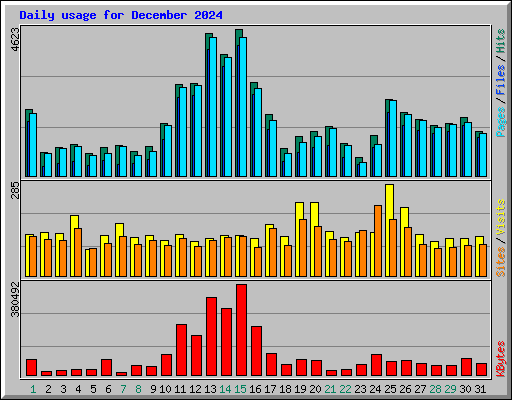 Daily usage for December 2024