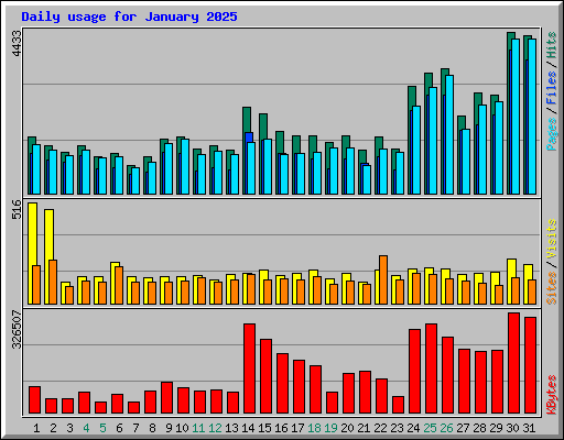 Daily usage for January 2025