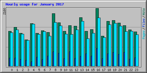 Hourly usage for January 2017