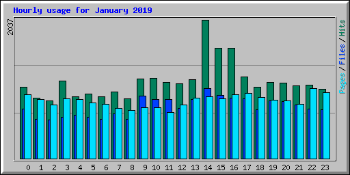 Hourly usage for January 2019