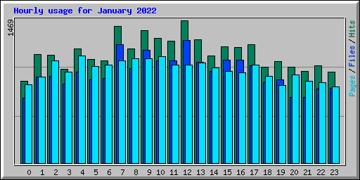 Hourly usage for January 2022