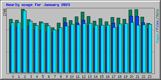 Hourly usage for January 2023