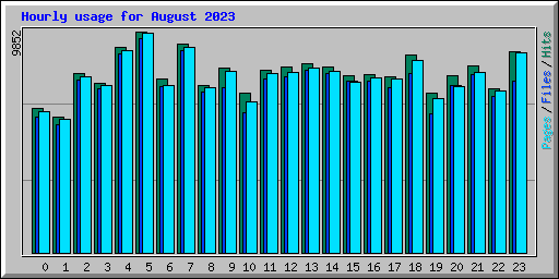 Hourly usage for August 2023