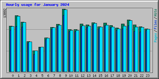 Hourly usage for January 2024