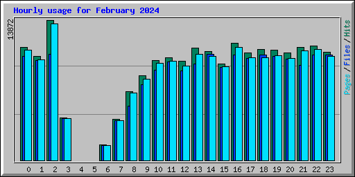 Hourly usage for February 2024