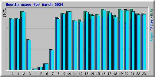 Hourly usage for March 2024