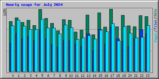 Hourly usage for July 2024