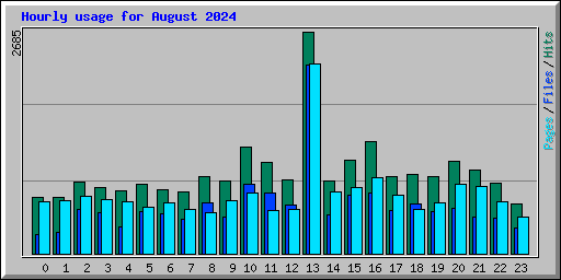 Hourly usage for August 2024