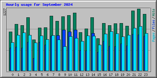 Hourly usage for September 2024