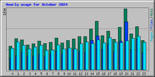 Hourly usage for October 2024