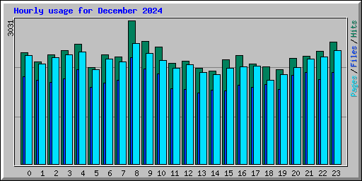 Hourly usage for December 2024