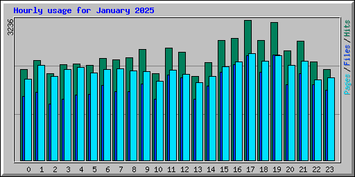 Hourly usage for January 2025