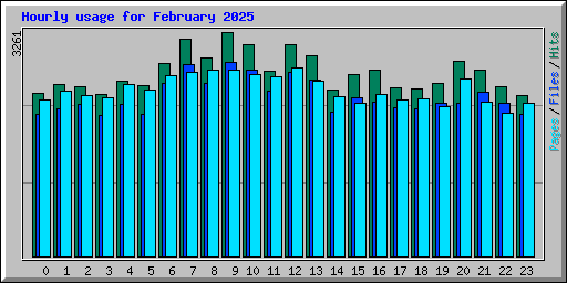 Hourly usage for February 2025