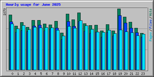 Hourly usage for June 2025